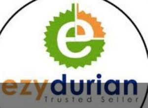 EZYDURIAN SDN BHD logo