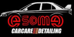 eSome Car Care & Detailling logo